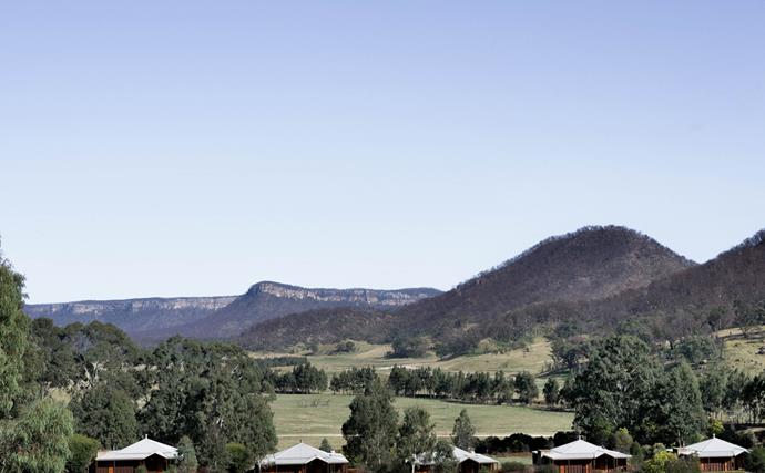 The Blue Mountains resort with Australia's highest density of wombats, and food by an ex-Biota chef