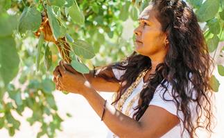 Side profile of a woman in white T-shirt harvesting Kakadu plum from a tree.