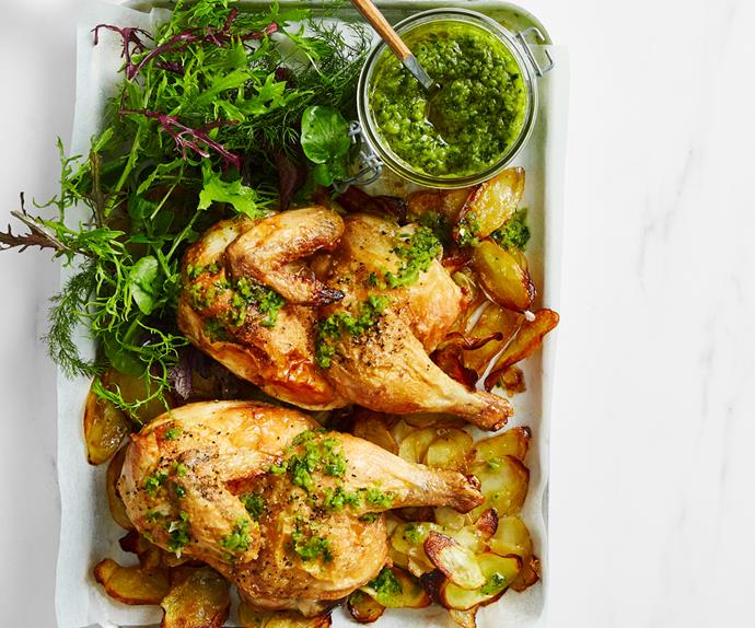 Two small roast chickens with salad and salsa verde on a white tray.
