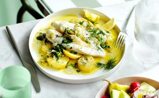 A fillet of white fish on a plate with white sauce and potatoes. There is a mint green background. 