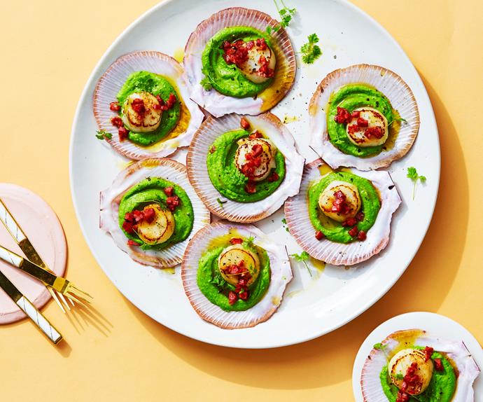 Scallops with Champagne and pea sauce