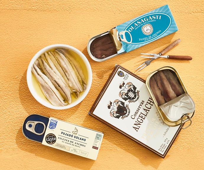 flatlay image of multiple anchovy tins and white bowl filled with white anchovies