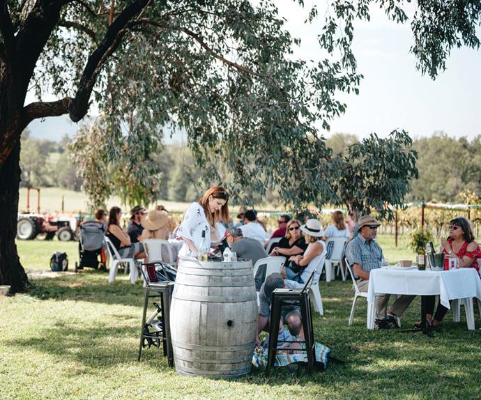 People sitting outside at a winery