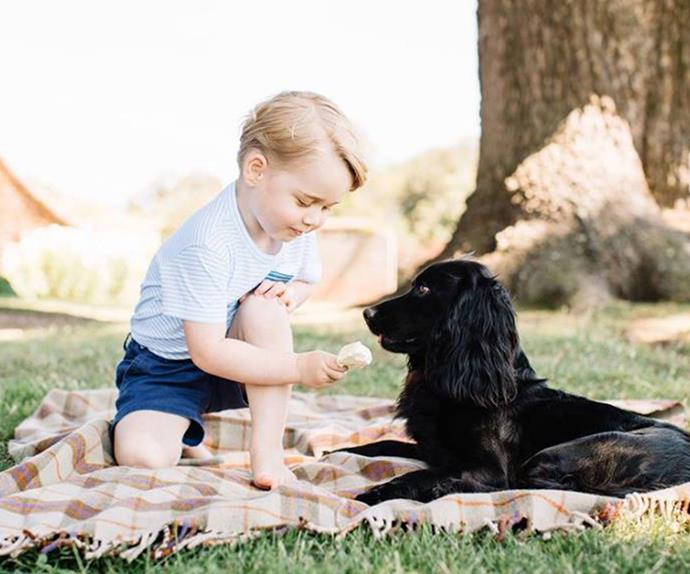 Prince George feeds his dog ice-cream