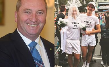 Barnaby Joyce dismissed gay marriage as a niche issue