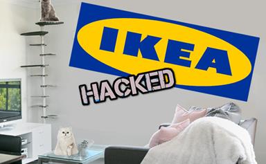 IKEA hacks for cat furniture that actually looks half decent