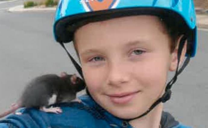 Ten-year-old boy dies from rat bite fever after buying infected pet rat