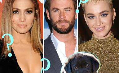 Quiz: match the celebrity to their pet