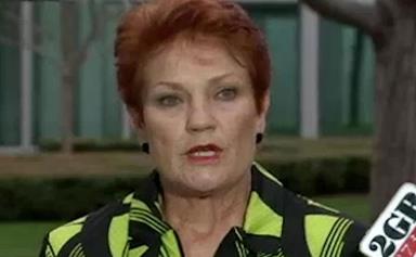 Pauline Hanson defends her controversial autism comments