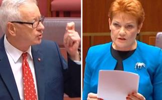 Doug Cameron's take down of Pauline Hanson is as moving as it savage