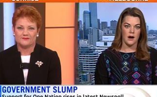 Greens senator says Pauline Hanson’s burqa stunt will be used to promote extremism