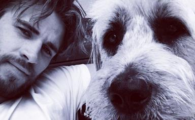 Liam Hemsworth named Doggy Dad of the year and we have the swoon-worthy pics to prove it