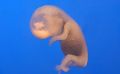Science is incredible! Embryo frozen 24 years ago has finally been born a beautiful, healthy baby