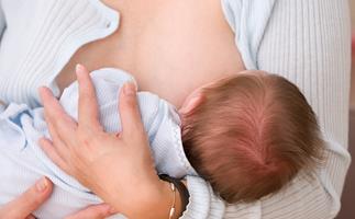 The BEST foods to eat while breastfeeding
