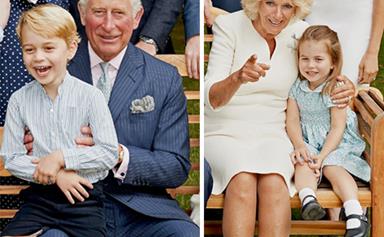 Prince Charles' 70th birthday portraits: 8 things you completely missed