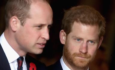 Inside Prince Harry and Prince William's heartbreaking royal feud