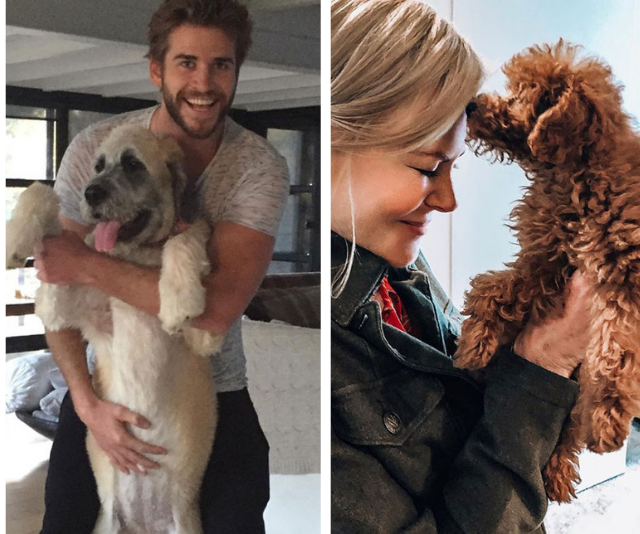 See the most adorable photos ever of celebrities and their pets