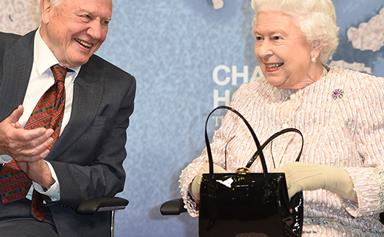 The Queen steps out with David Attenborough moments after shock Palace announcement - and she even cracked a joke!