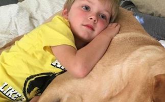 FIRST PERSON: How a dog changed my autistic son's life