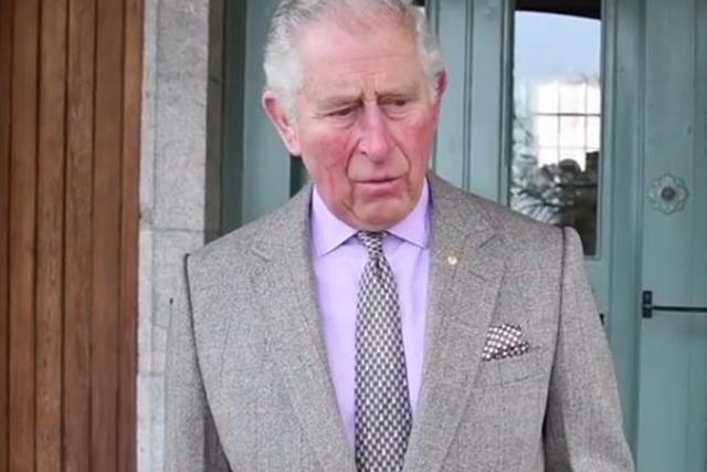 Prince Charles' rare video message about the Australian bushfires subtly reflected the changing monarchy