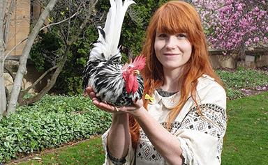 Real life: My pet rooster Teapot has been blessed by a priest twice!
