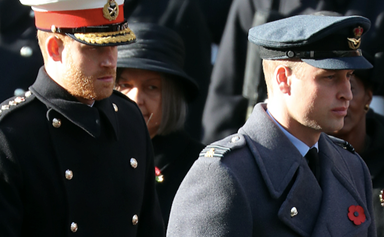 How Prince William and Prince Harry are stepping up as the Queen and Prince Charles go underground