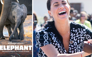 Where to watch Meghan Markle's first Disney film, Elephant, from Australia