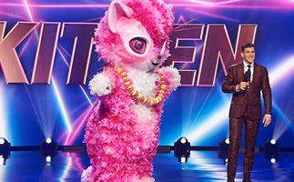 EXCLUSIVE: The Masked Singer celebrities at war over their costumes!