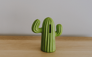 Cactus. 