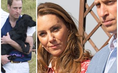 Duchess Catherine and Prince William suffer heartbreaking loss as their first dog, Lupo, passes away