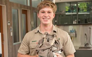 Robert Irwin makes an exciting announcement on his late father Steve's birthday