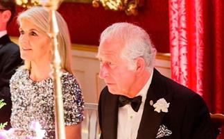 Julie Bishop is all smiles as she meets Prince Charles at St James' Palace and we can't keep our eyes off her  dazzling dress