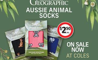 现在在出售高斯!澳大利亚地理澳洲动物袜子只有2.50美元*当你购买你最喜欢的杂志