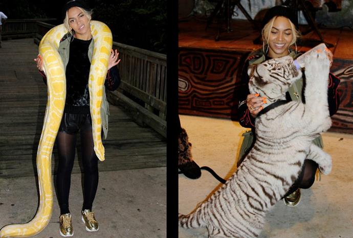 Beyoncé meets some of the jungle animals.