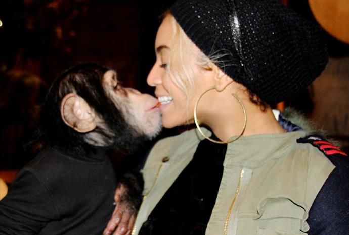Kisses! Beyoncé gets cheeky with a monkey.