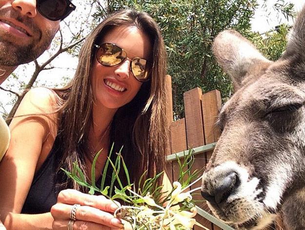The Victoria's Secret model also snapped a quick selfie with this adorable kangaroo.