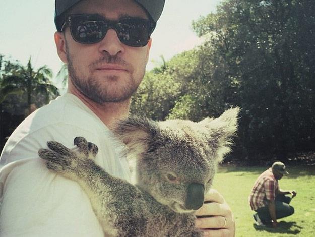 Last week, singing sensation Justin Timberlake took some time out from his busy Aussie tour to cuddle a koala.