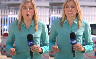 Journalist gets bitten by a bull ant on tv and she is NOT happy