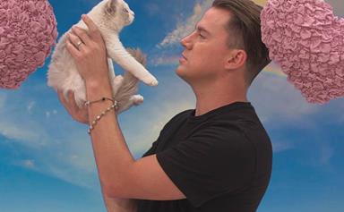 Channing Tatum has some major beef with a fluffy kitten