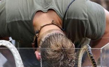 BREAKING: Shane Warne bitten on the head by an anaconda