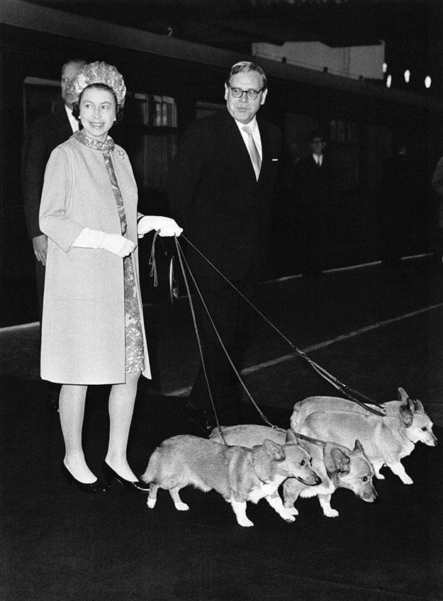 The Queen and her corgis, 1969