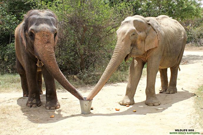 Rhea and Sita sharing their first meal together