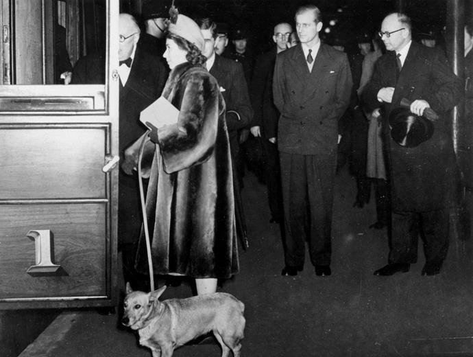 The Queen boards a train with her dogs in 1949.