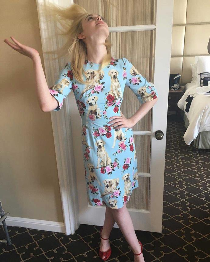 Elle Fanning wears a doggo dress for her *Beguiled* press day and we can't help but love everything about it.