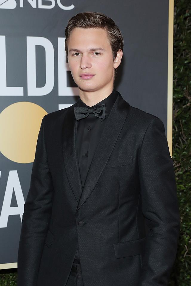 **Ansel Elgort as Theodore 'Theo' Decker**
<br><br>
Elgort will play Theo Decker, a young man who loses his mother in a terrorist bombing and whose life descends into crime in the art underworld.