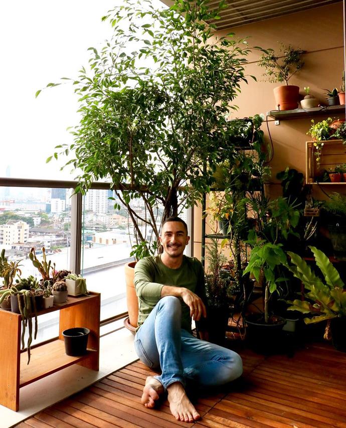 ***That super low-light room***<br><br>
Whether it's a dining room, a study or even your living room, everyone has that one room that rarely gets any sun. But that doesn't mean you can't put a plant in there!<bR><br>
Try the ficus benjamina or "weeping fig."<br><br>
Image via [@wan_pot_wan_plant](https://www.instagram.com/p/BrKdce2g_Ah/|target="_blank"|rel="nofollow").