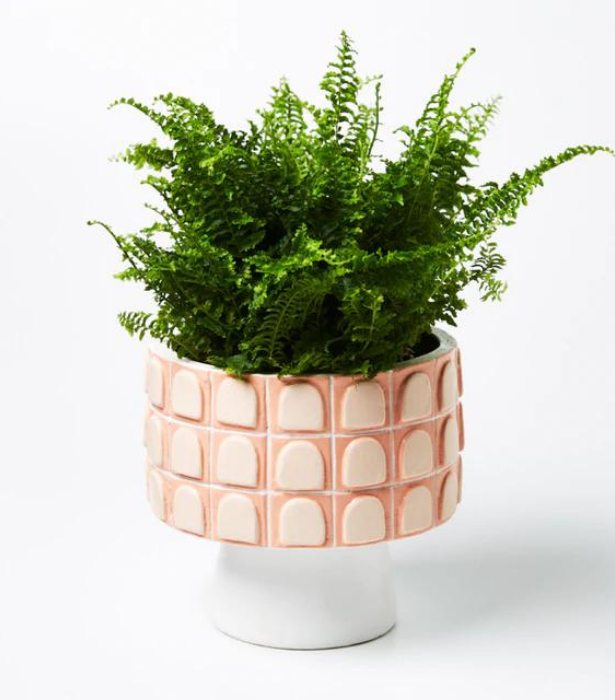 If you share the apple of your mum's eye with her plant-babies, she'll be thrilled with this chic handmade planter that will give her favourite space a coastal holiday vibe. <br><br> 

Palazzo Planter, $90 at [Jones&Co.](https://jonesandco.com.au/collections/luxe-pots-1/products/palazzo-planter-small?variant=39467447844962|target="_blank")