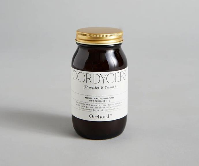 Cordyceps powder, $42 at [Orchard Street](https://orchardstreet.com.au/products/cordyceps|target="_blank"|rel="nofollow")