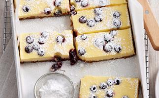 Sour cream and blueberry cheesecake slice