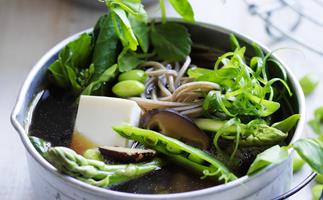 japanese-style vegetable, tofu and noodle broth